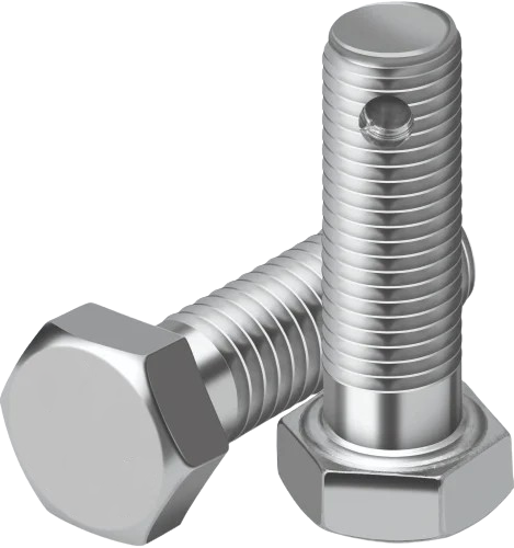 HEX BOLT WITH HOLE (DIN 976)